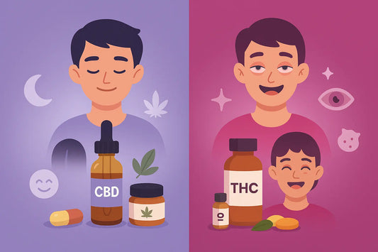 CBD vs THC: Key Differences Explained
