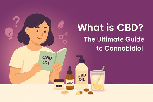 What is CBD? Beginner’s Guide to Cannabidiol
