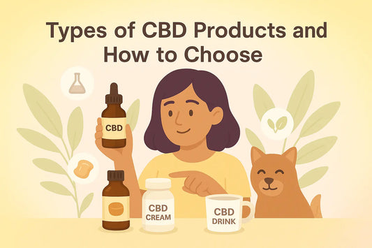Types of CBD Products and How to Choose